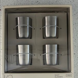 Target Silver Toasting Shot Glass Set